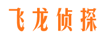 新城区市侦探公司